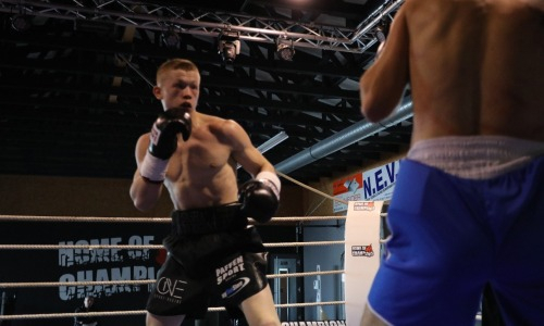 По пути Головкина. Нокаутер из Казахстана выносит всех в Германии без разбора ради чемпионских поясов