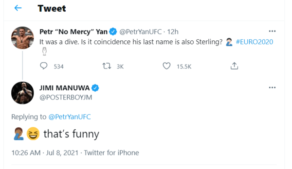 Петр Ян отреагировал на «нырок» форварда Англии в полуфинале ЕВРО-2020 и рассмешил британского бойца MMA