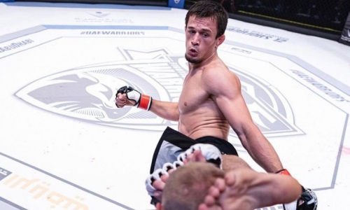 Брат Нурмагомедова жестким нокаутом в первом раунде победил на турнире Bellator. Видео