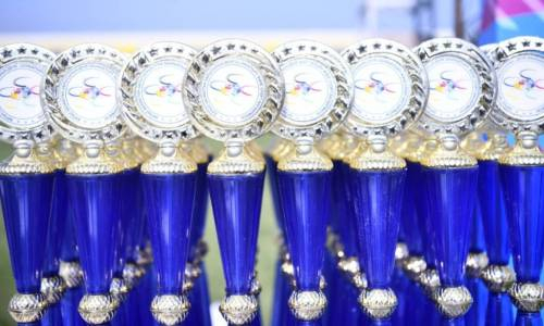 В ЗКО наградили лучших в спорте области