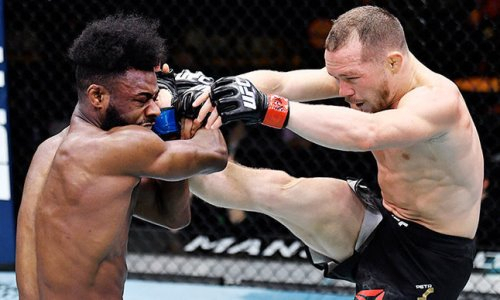 В UFC официально подтвердили реванш Петр Ян — Стерлинг