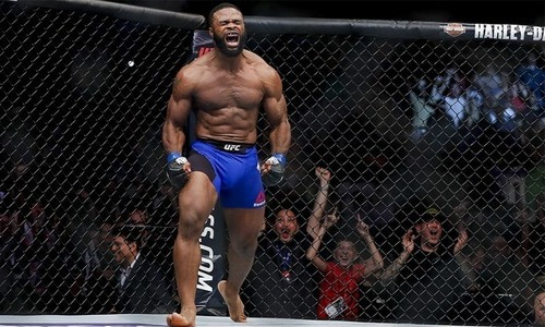 «Я люблю Джейка». Экс-чемпиону UFC придется сделать унизительную татуировку ради реванша с блогером. Фото