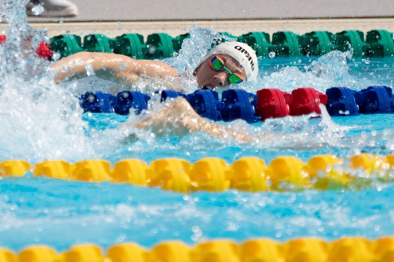 Елена Потапенко