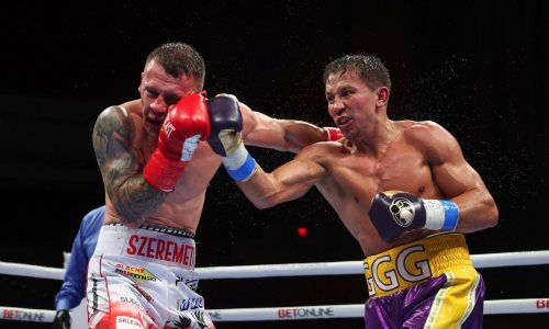 Головкину подсказали способ эффектно и достойно завершить карьеру