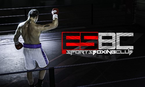 «Будущие звезды». Трое известных казахстанских боксеров появятся в новой видеоигре