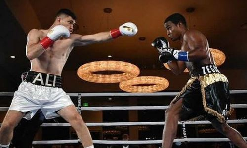 Казахстанский нокаутер последовал напутствию Головкина