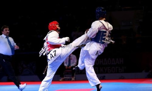 Двое казахстанских таеквондистов завоевали серебряные медали Russian Open G1