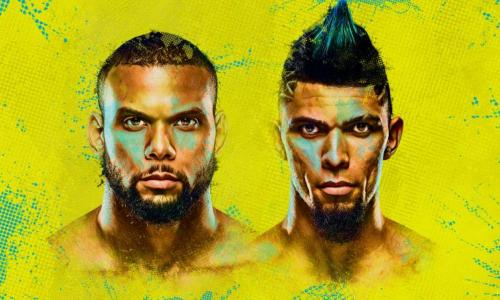 Прямая трансляция турнира UFC Fight Night 193 с главным боем Сантос — Уокер