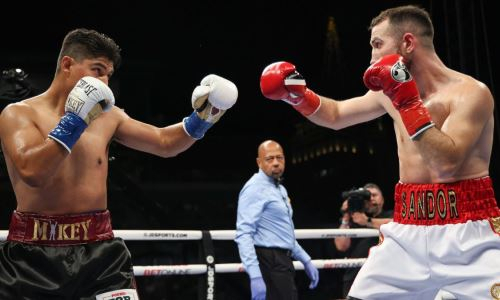 Видео полного боя с сенсационным поражением Майки Гарсии. Видео