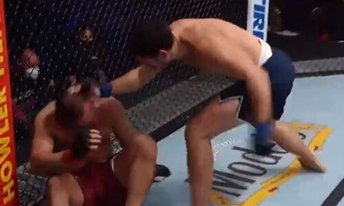 Жесткий нокаут в первом раунде, или Как претендент получил путевку в UFC. Видео