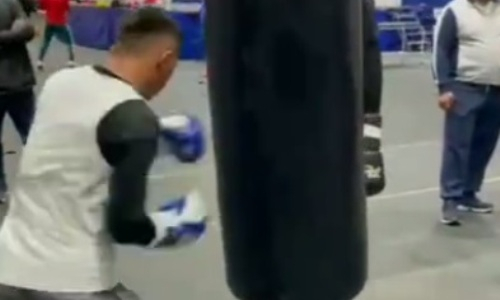 «Казахи в Белграде». Появилось видео тренировки казахстанских боксеров перед стартом на ЧМ-2021