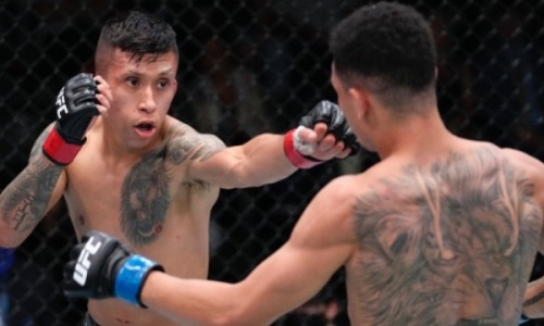 Американский файтер UFC брутально нокаутировал бразильца и не проигрывает четыре года. Видео