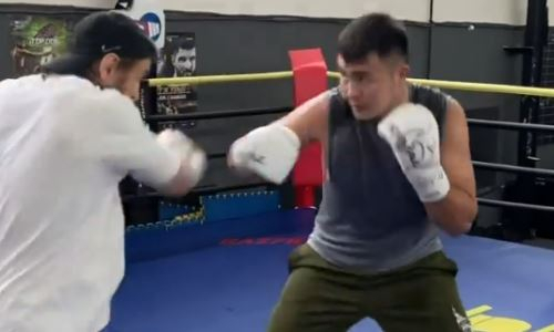 Камшыбек Кункабаев блеснул скоростью и техникой комбинаций в ринге. Видео