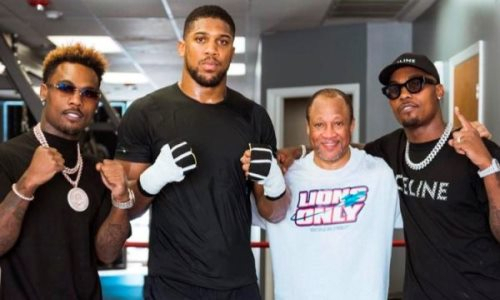 Поиск нового тренера? Промоутер Головкина раскрыл реальную цель поездки Джошуа в США