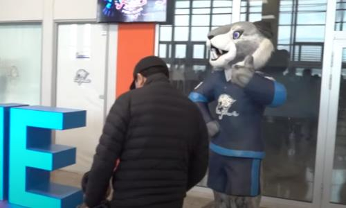 Появилось видео игры КХЛ «Барыс» — «Ак Барс» в проекте «Вокруг матча»