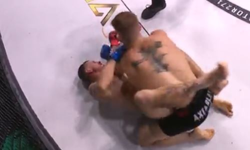 Боец брутально избил и нокаутировал соперника локтями на турнире Bellator. Видео