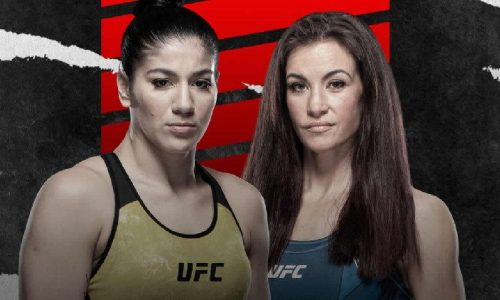 Прямая трансляция турнира UFC Fight Night 198 с главным боем Виейра — Тейт