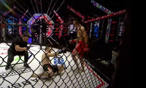 Сенсационным камбэком узбека из нокаута и поражением казахстанца завершился бой на турнире MMA. Видео