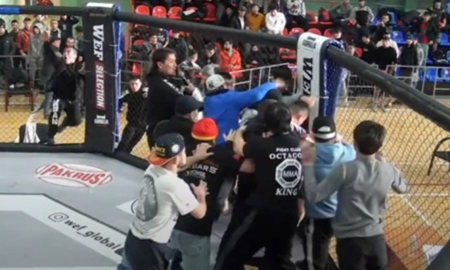 Бойцы из Узбекистана и Кыргызстана устроили массовую драку в клетке на турнире ММА в Москве. Видео