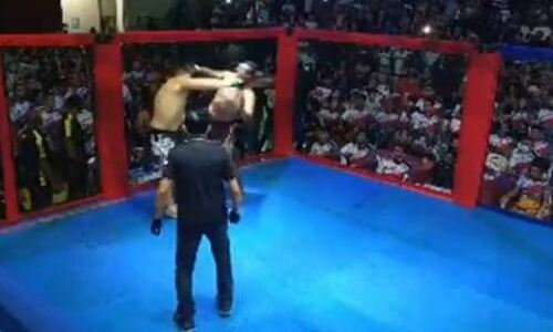 Бразильские политики не хуже бойцов UFC зарубились в октагоне из-за парка. Видео