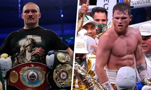 Хирн озвучил, в какой весовой категории должны драться «Канело» с Усиком