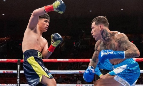 «Абсолютно никакущие». В узбекском боксе наметился кризис