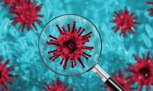 Отменено главное событие января в боксе