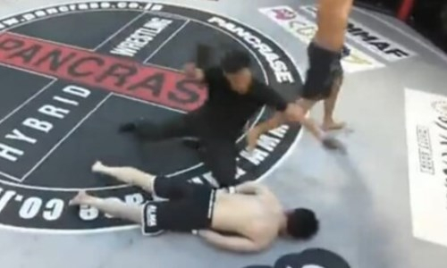 Видео жуткого нокаута. Боец от одного удара потерял сознание и рухнул лицом вниз