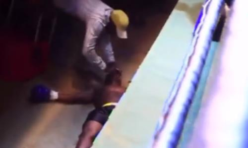 Боксер из веса Головкина отключился после удивительного нокаута. Видео