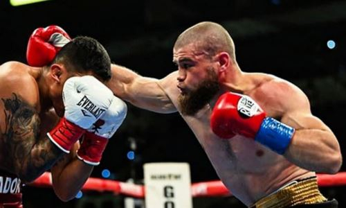 WBC отреагировал на победу казахстанского боксера из Golden Boy
