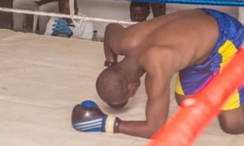 Африканский нокаутер в девятый раз подряд удосрочил соперника. Видео