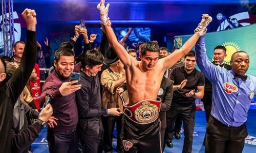 Непобежденный казахстанский боксер войдет в ТОП-10 мирового рейтинга