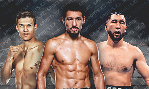 11 элитных. Профи Казахстана в топ-50 BoxRec