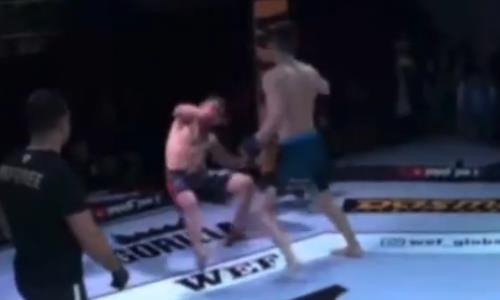 Видео брутального нокаута. Казахстанский боец одним ударом вырубил соперника в первом раунде