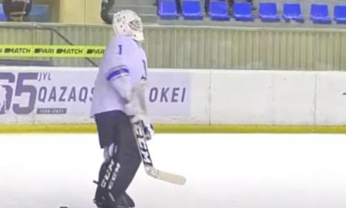 Видеообзор матча чемпионата РК «Темиртау» — «Снежные Барсы» 3:0