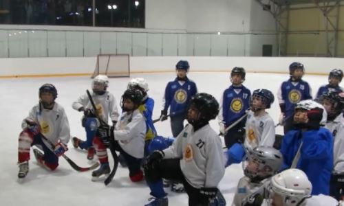 Сборную Казахстана по хоккею с мячом лишили стадиона