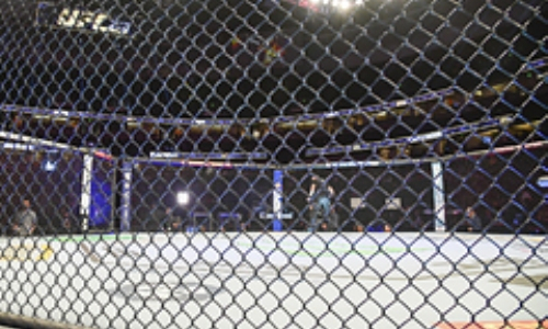 В США высказали неожиданное мнение о запрете на выступления российских бойцов MMA