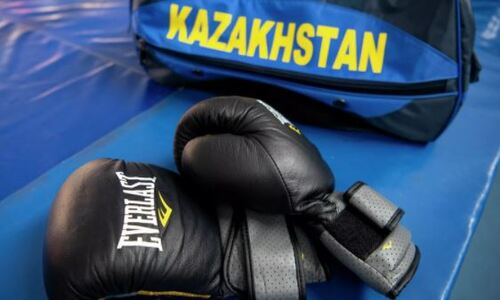 Промоутеры назвали будущего чемпиона мира по боксу из Казахстана