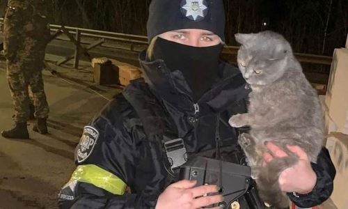 «Я не чувствую ненависти». Звезда украинского бокса сделала признание после трех недель войны с Россией