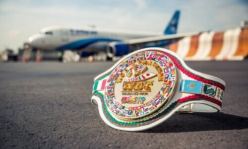 WBC лишил Казахстан большого события в мире бокса