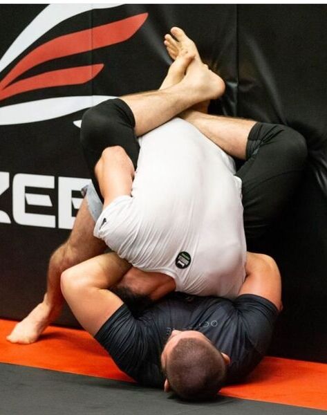 «Сюда многие попадались». Хабиб показал фото идеального удушающего