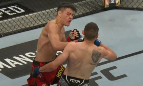 Видео мощного нокаута казаха в первом бою в UFC