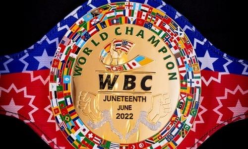 WBC придумал «специальный пояс» для чемпионского боя в весе Головкина