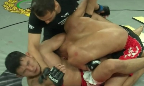 Видео страшного финиша узбекистанского бойца казахстанским «Бизоном»