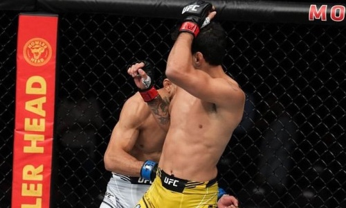 «Вы видели?». Перед боем казаха в UFC состоялся нокаут года. Видео