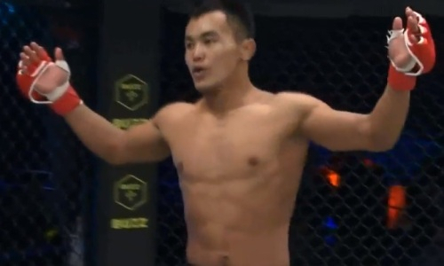 Казаху из UFC не оставили шансов против американского файтера