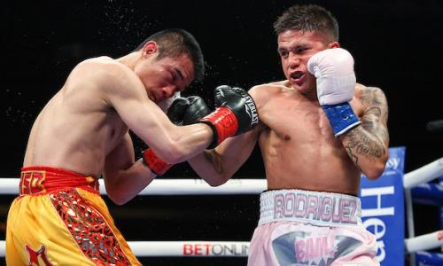 Легенду бокса брутально нокаутировали в бою за титул чемпиона мира по версии WBC. Видео