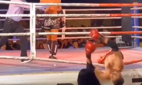 Видео нокаута года. Боец вылетел с ринга после пушечного удара ногой в голову