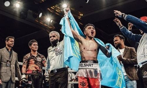 Непобежденный «Казахский воин» объявил о бое за титул WBC