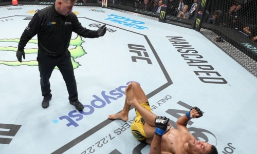 Рефери «отправил в нокаут» бойца UFC. Видео